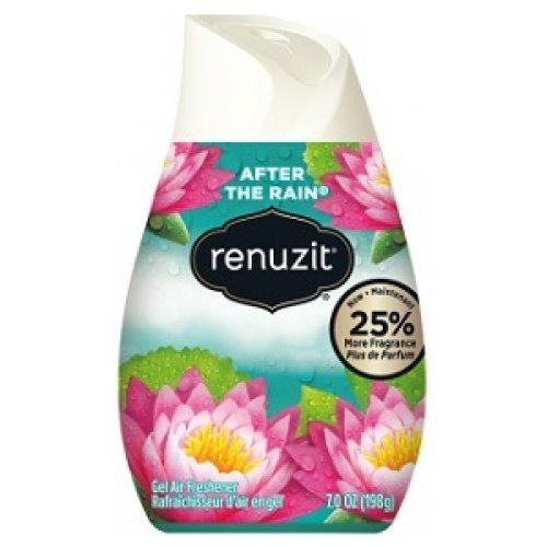 Perfumador en Gel Renuzit - After The Rain - 198gr